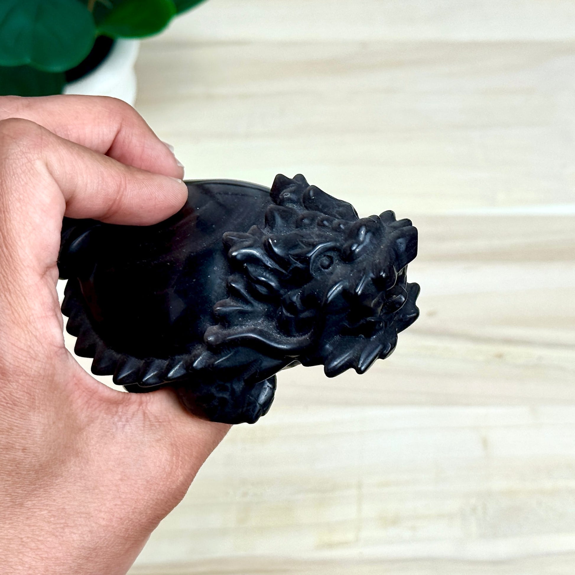 Silver Obsidian Dragon Turtle Carving - Itsy's Crystal Cove LLC