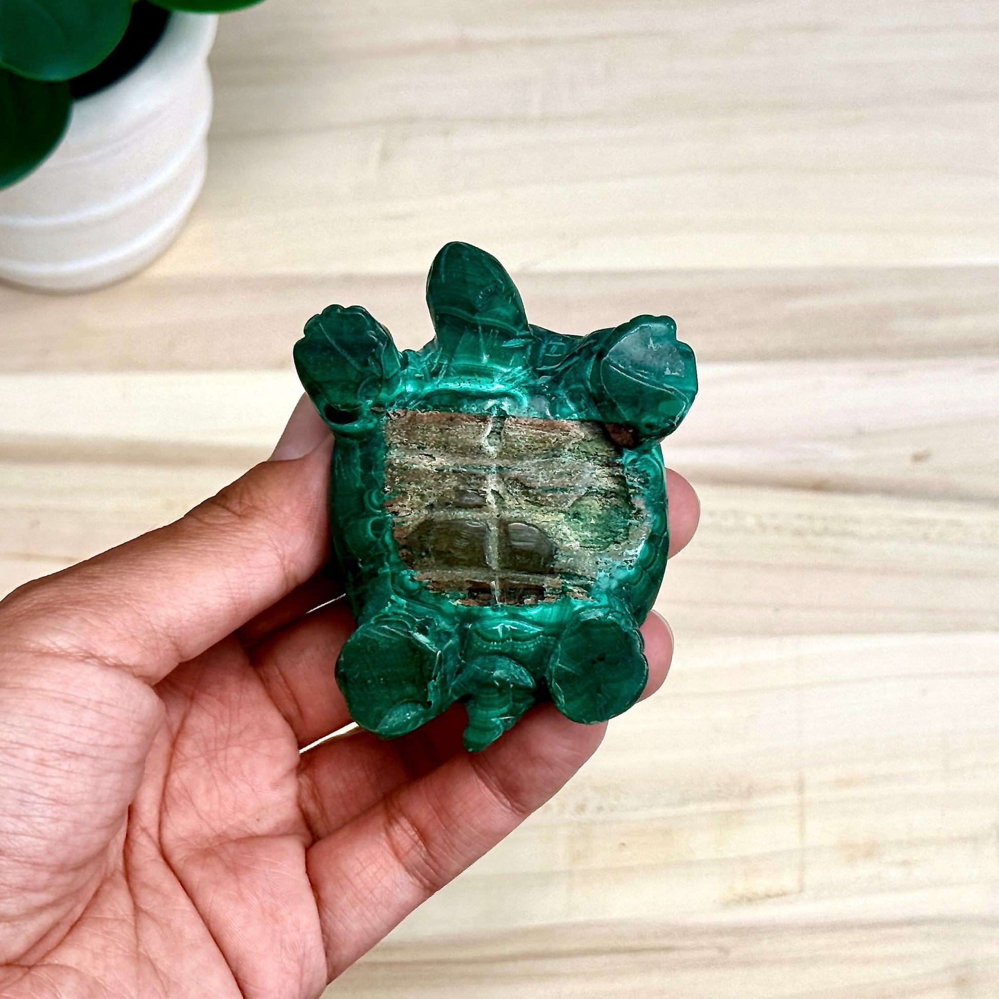Malachite Turtle Carving, 9.1 oz.
