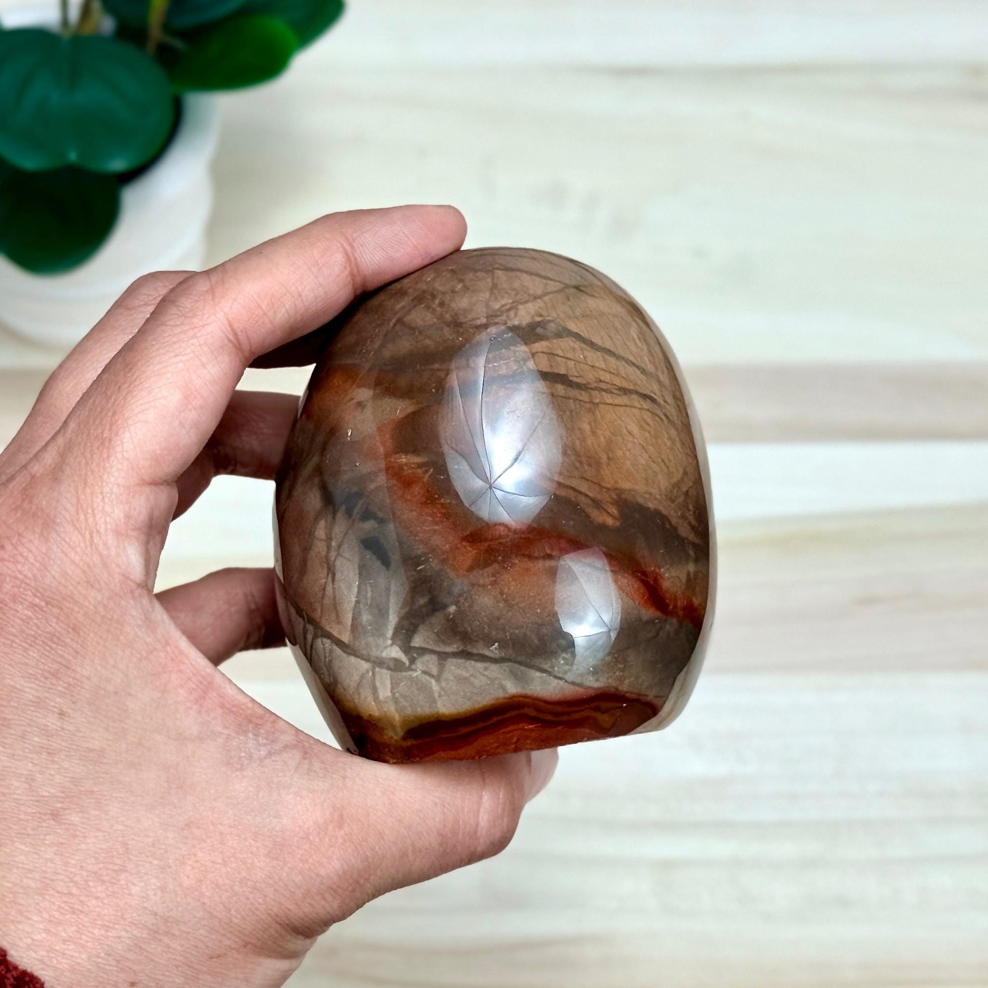 Polychrome Jasper Free Form, 1 lb. 5.9 oz. - Itsy's Crystal Cove LLC