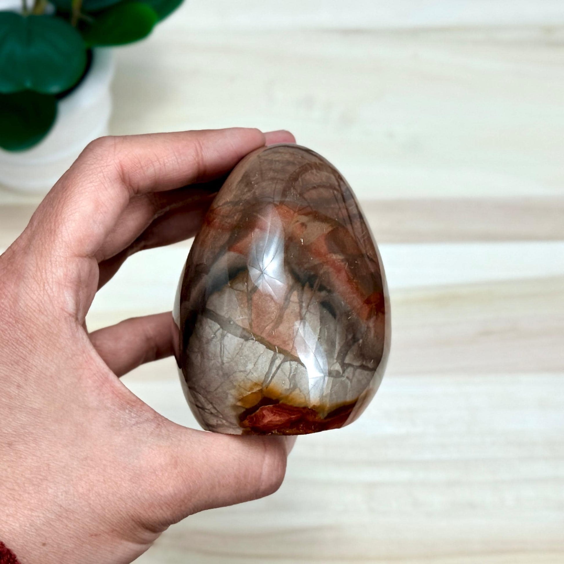 Polychrome Jasper Free Form, 1 lb. 5.9 oz. - Itsy's Crystal Cove LLC