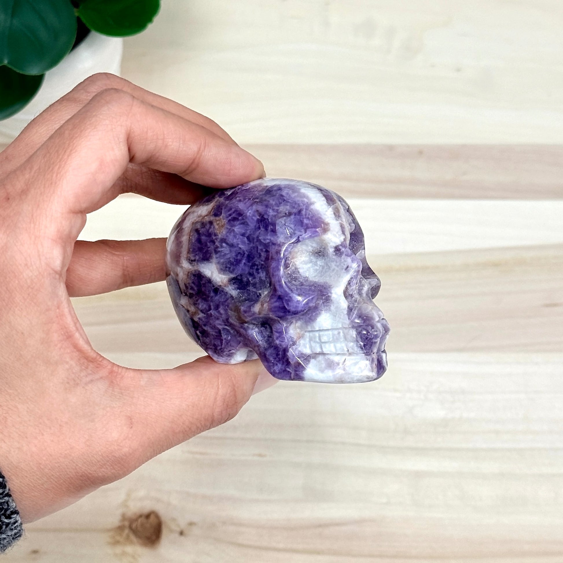 Chevron Amethyst Skull Carving A, 2.95 in. - Itsy's Crystal Cove LLC