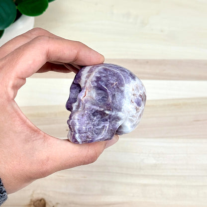 Chevron Amethyst Skull Carving A, 2.95 in. - Itsy's Crystal Cove LLC