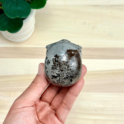 Picture Jasper Skull Carving, 2.73 in. - Itsy's Crystal Cove LLC