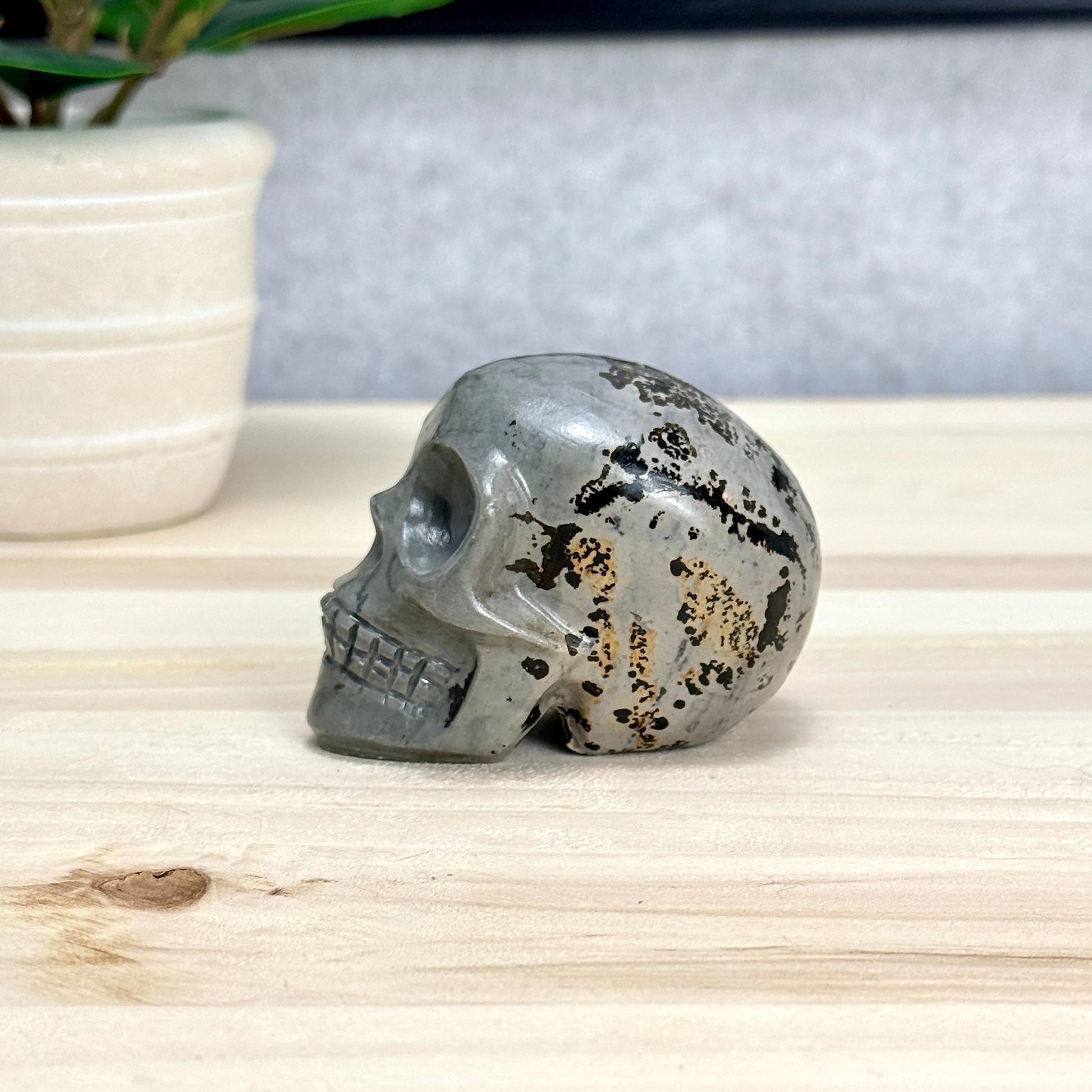 Picture Jasper Skull Carving, 2.73 in. - Itsy's Crystal Cove LLC