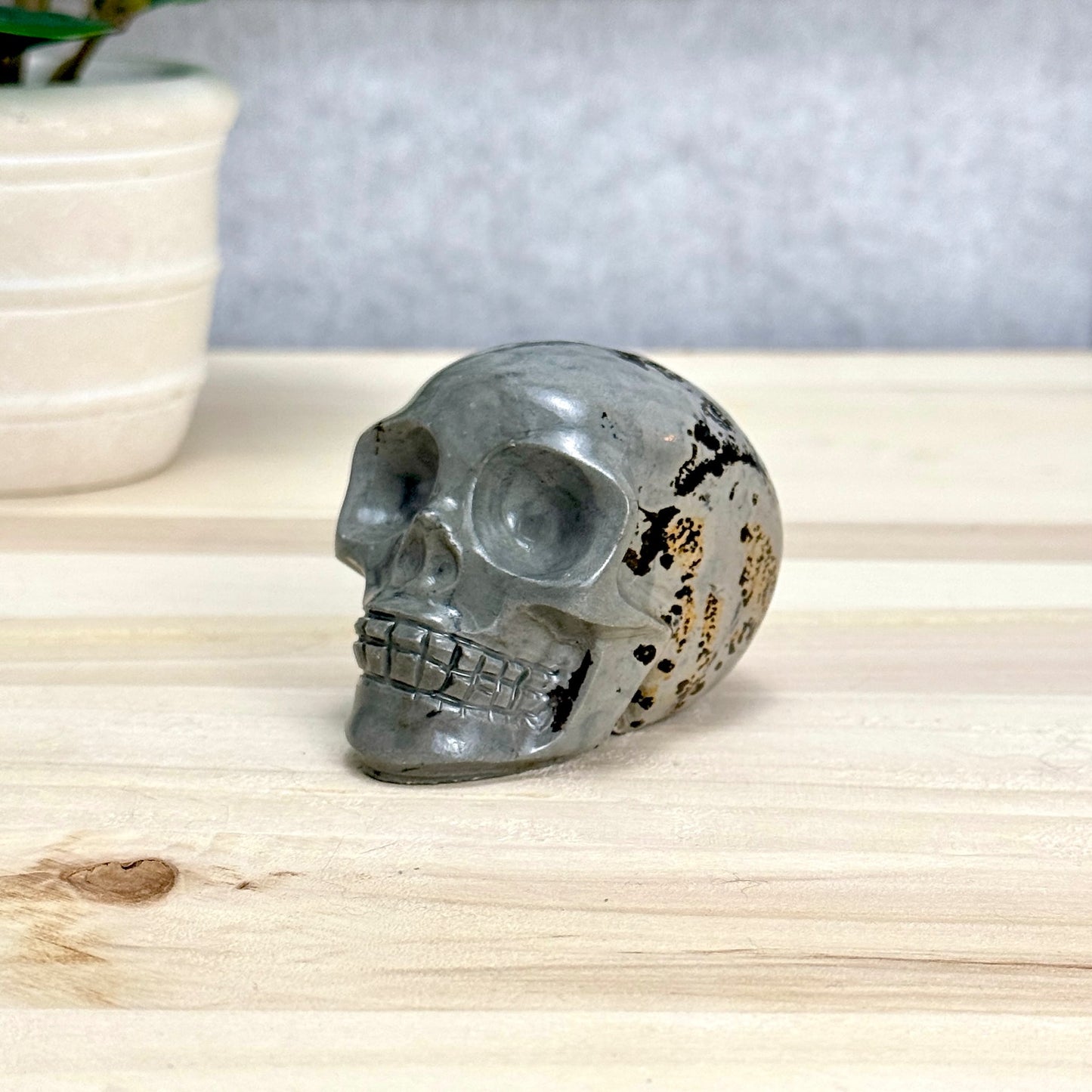 Picture Jasper Skull Carving, 2.73 in. - Itsy's Crystal Cove LLC