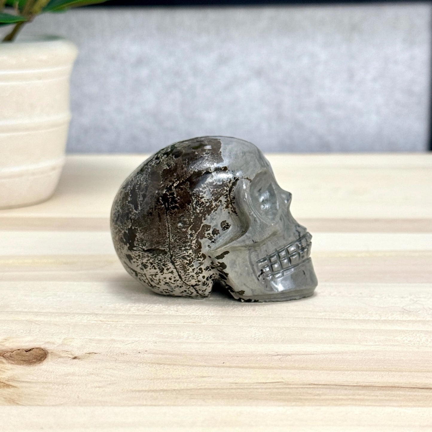 Picture Jasper Skull Carving, 2.73 in. - Itsy's Crystal Cove LLC