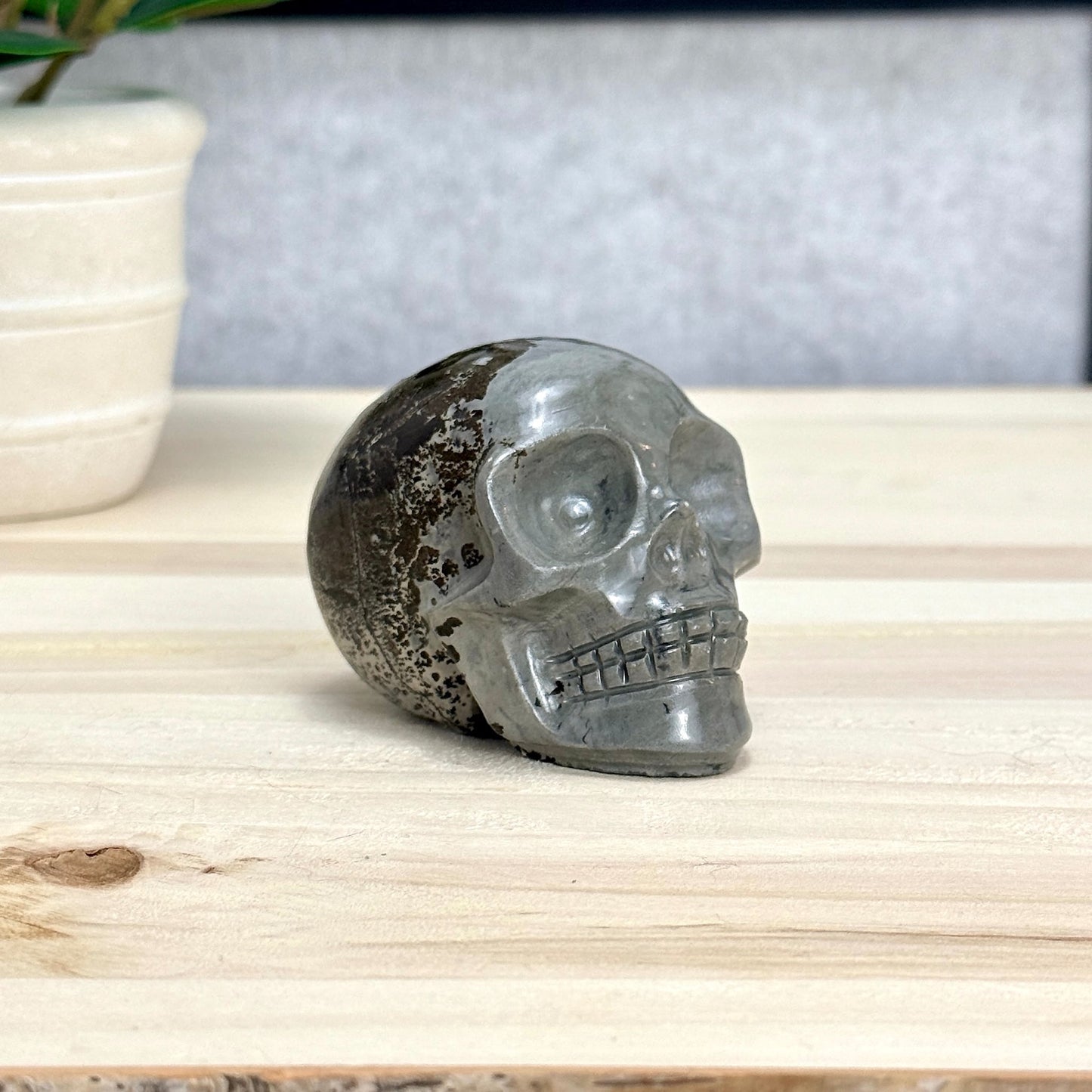Picture Jasper Skull Carving, 2.73 in. - Itsy's Crystal Cove LLC