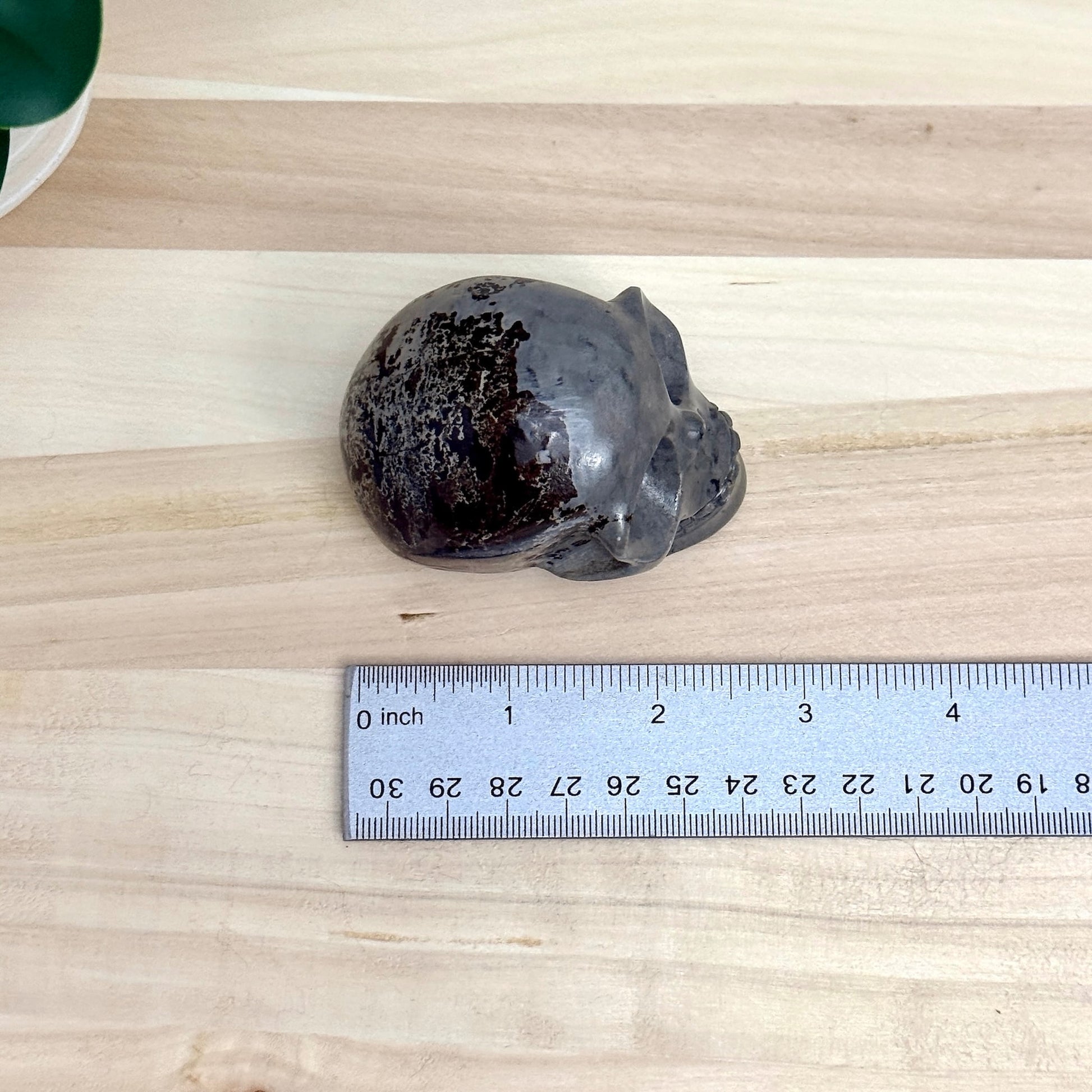 Picture Jasper Skull Carving, 2.73 in. - Itsy's Crystal Cove LLC