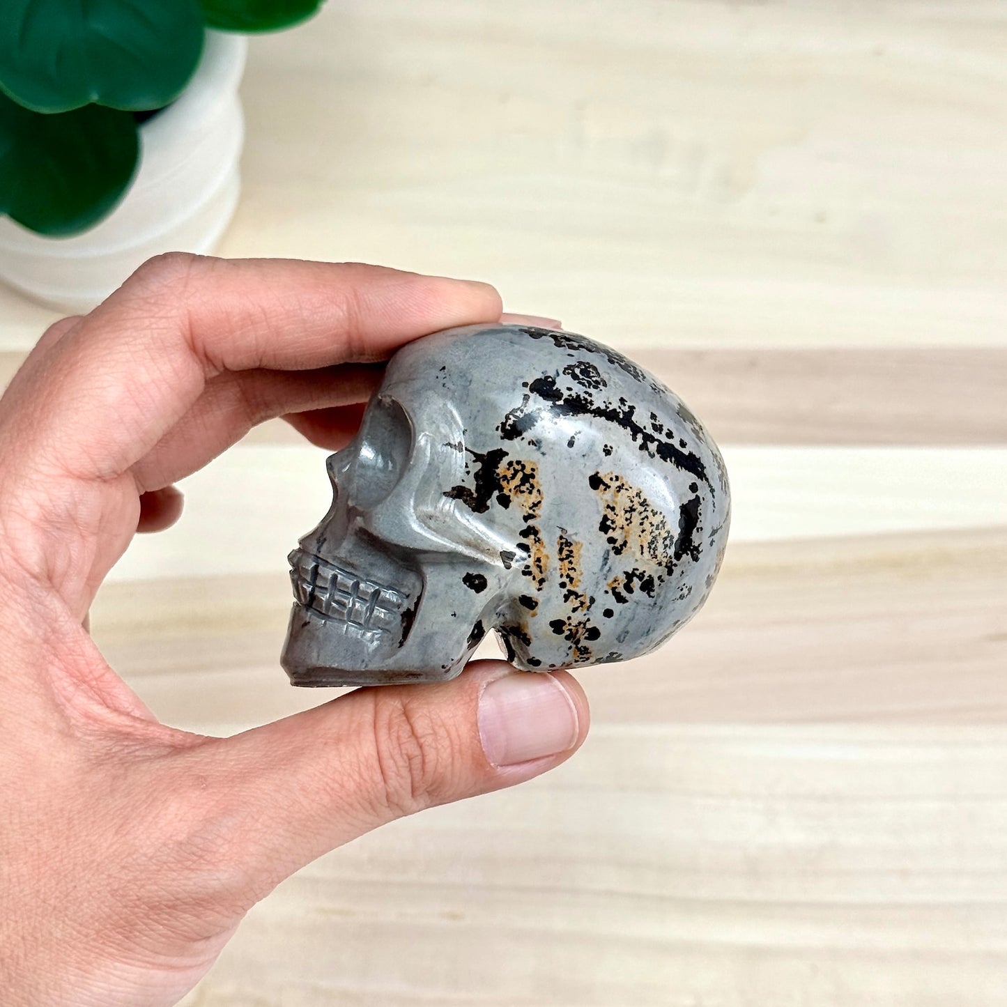 Picture Jasper Skull Carving, 2.73 in. - Itsy's Crystal Cove LLC
