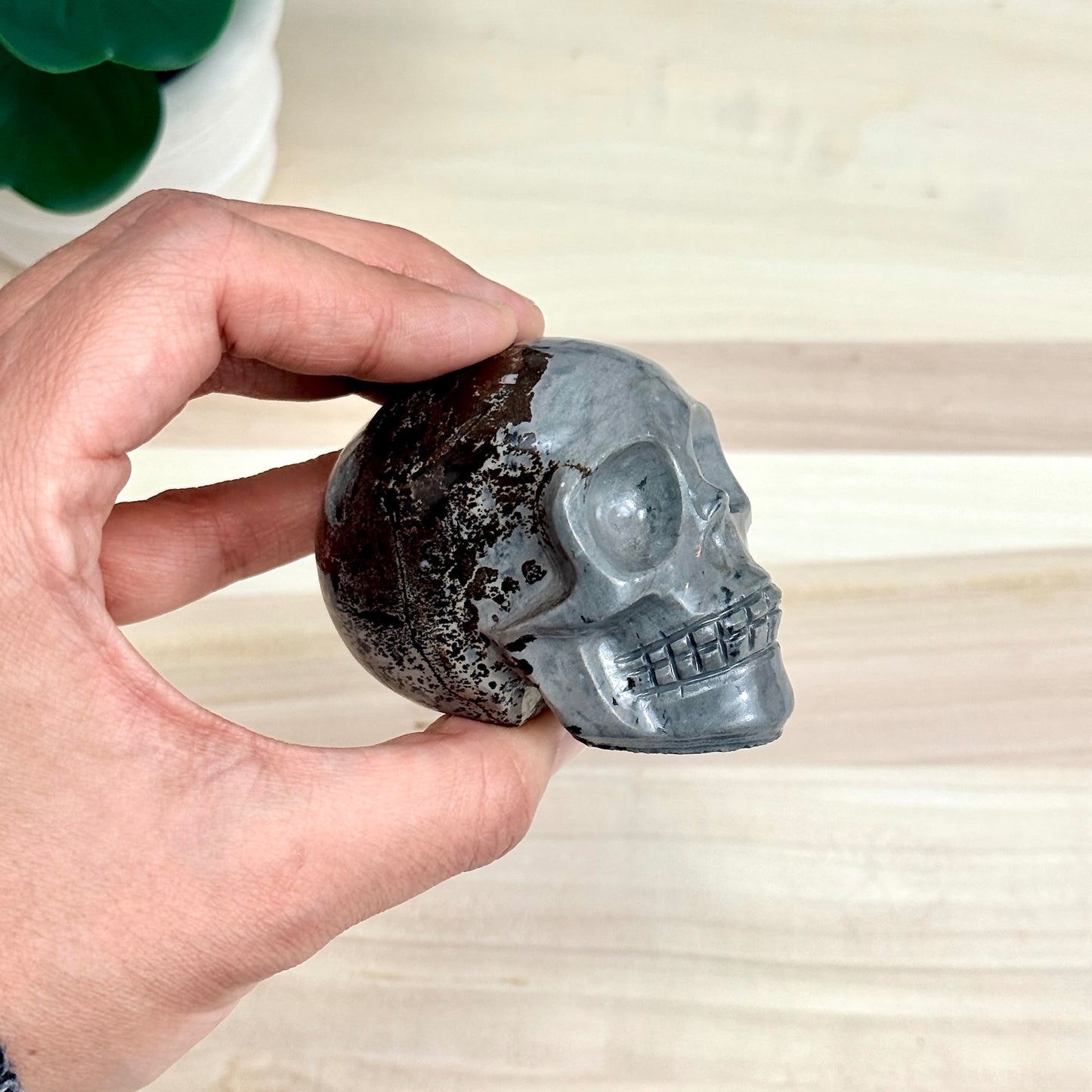 Picture Jasper Skull Carving, 2.73 in. - Itsy's Crystal Cove LLC