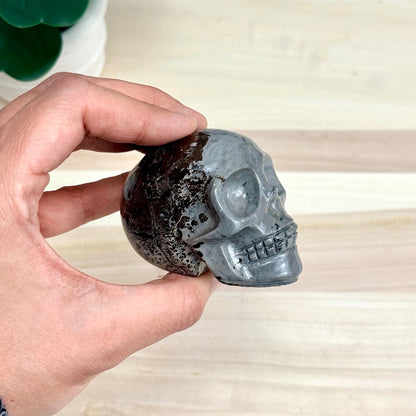 Picture Jasper Skull Carving, 2.73 in. - Itsy's Crystal Cove LLC