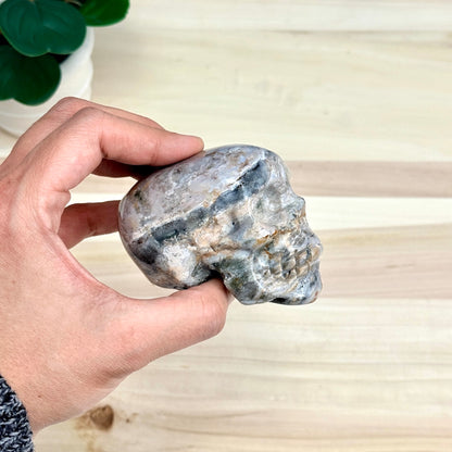 Sea Jasper Skull Carving, 3.34 in. - Itsy's Crystal Cove LLC