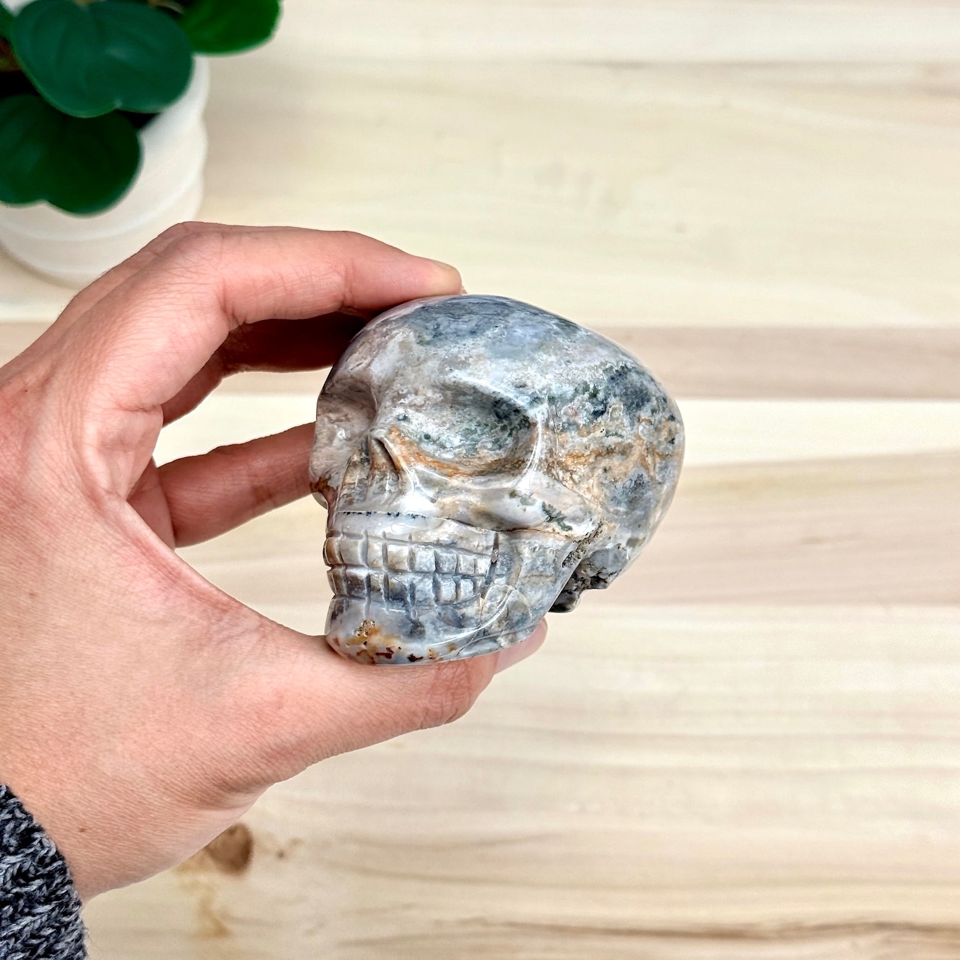 Sea Jasper Skull Carving, 3.34 in. - Itsy's Crystal Cove LLC