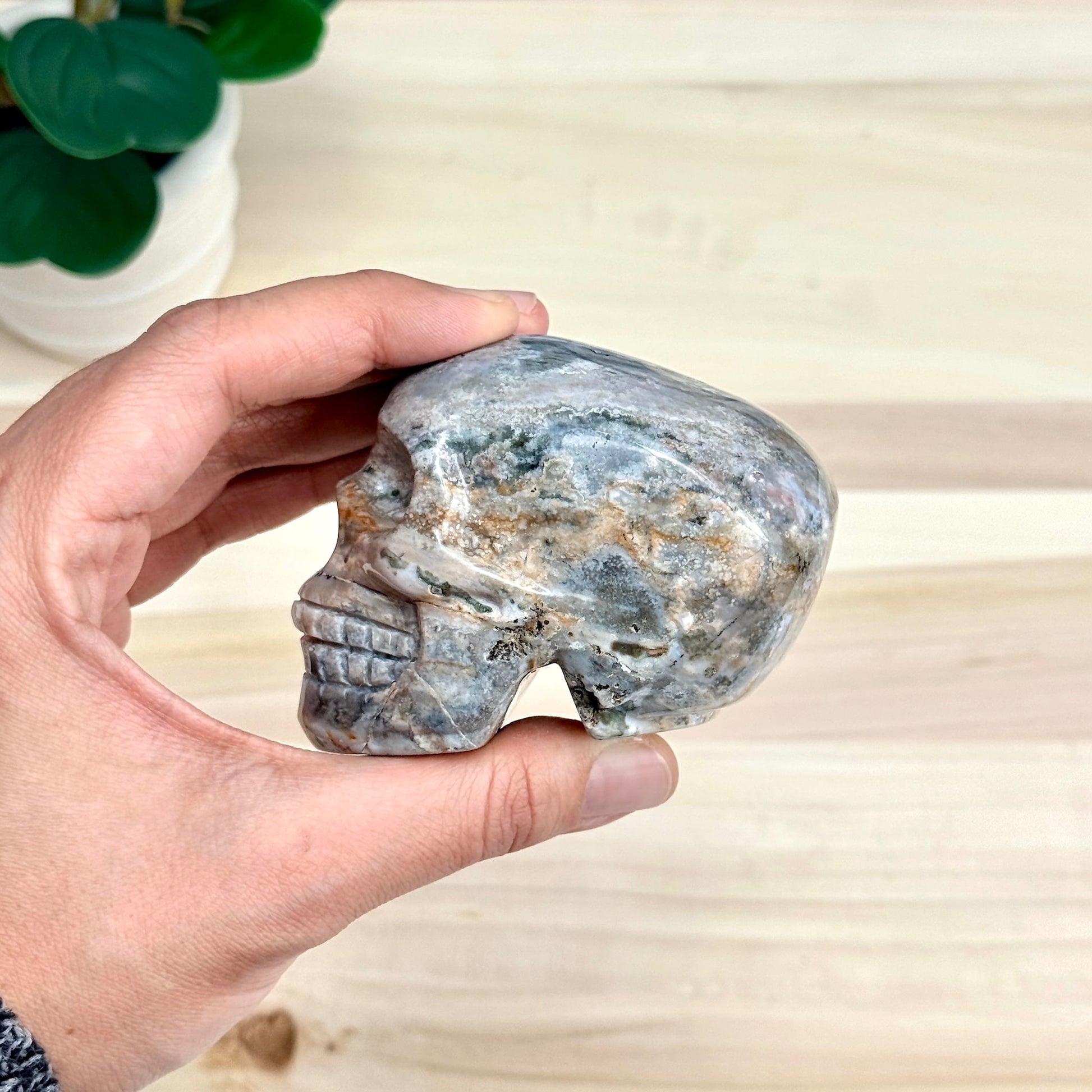 Sea Jasper Skull Carving, 3.34 in. - Itsy's Crystal Cove LLC