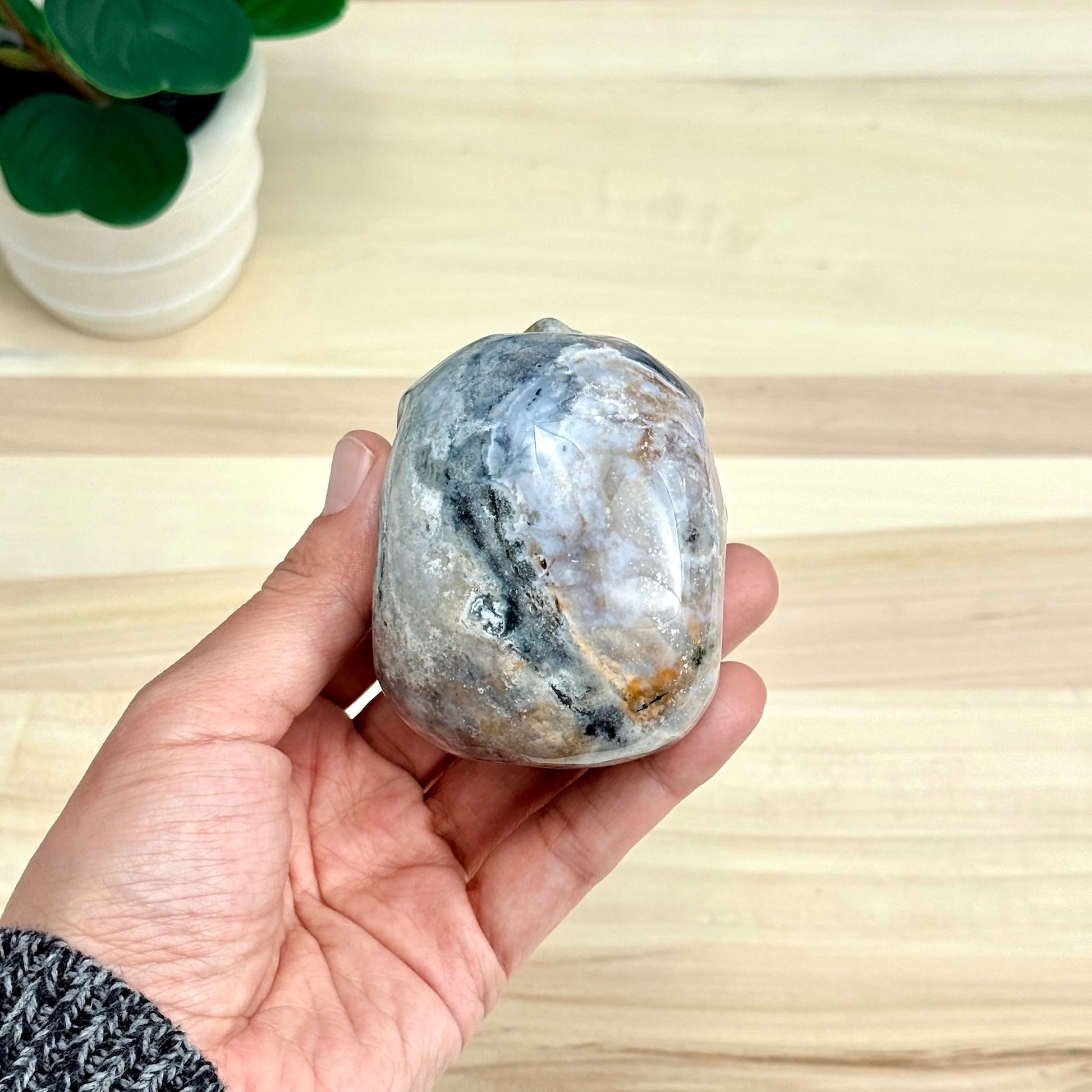 Sea Jasper Skull Carving, 3.34 in. - Itsy's Crystal Cove LLC