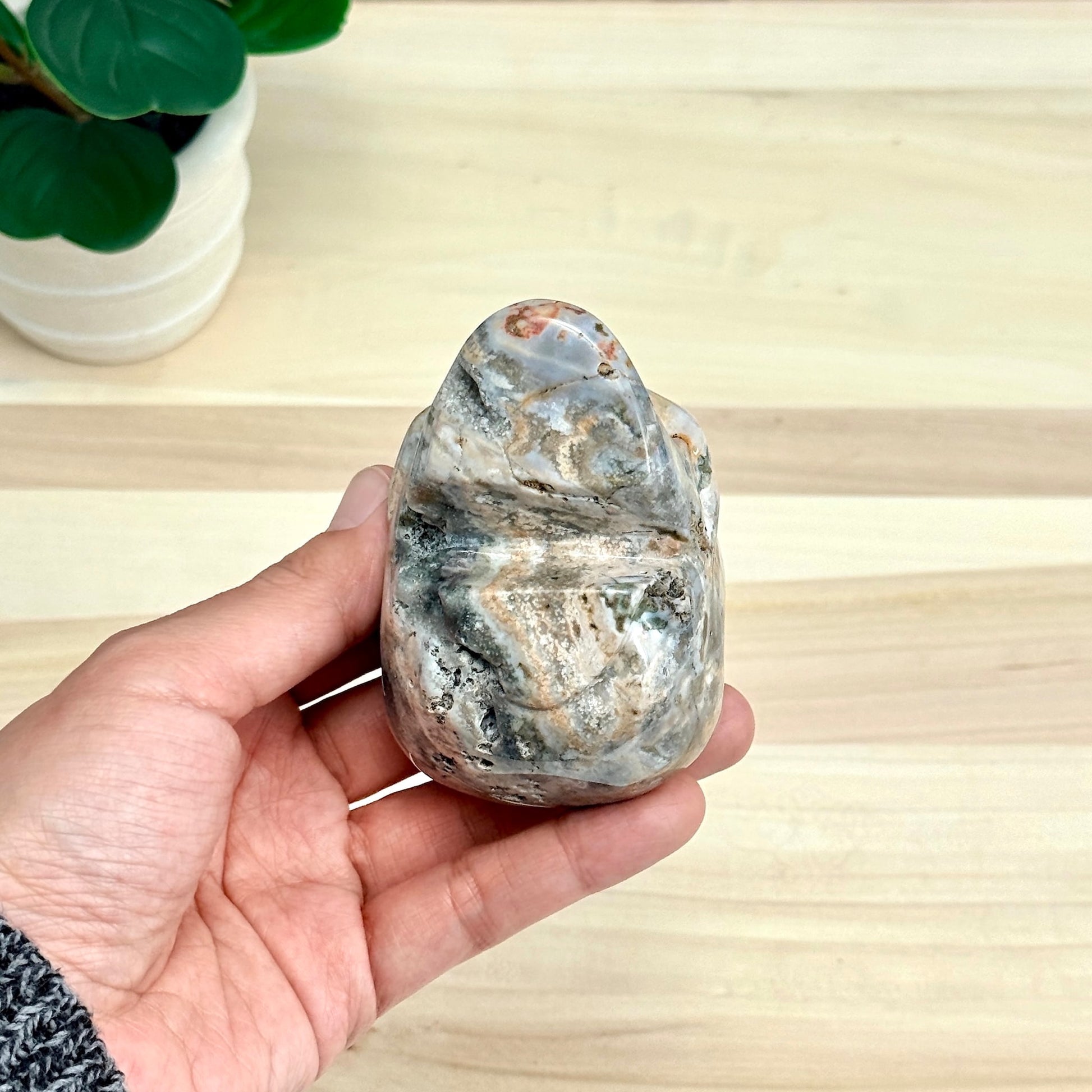 Sea Jasper Skull Carving, 3.34 in. - Itsy's Crystal Cove LLC