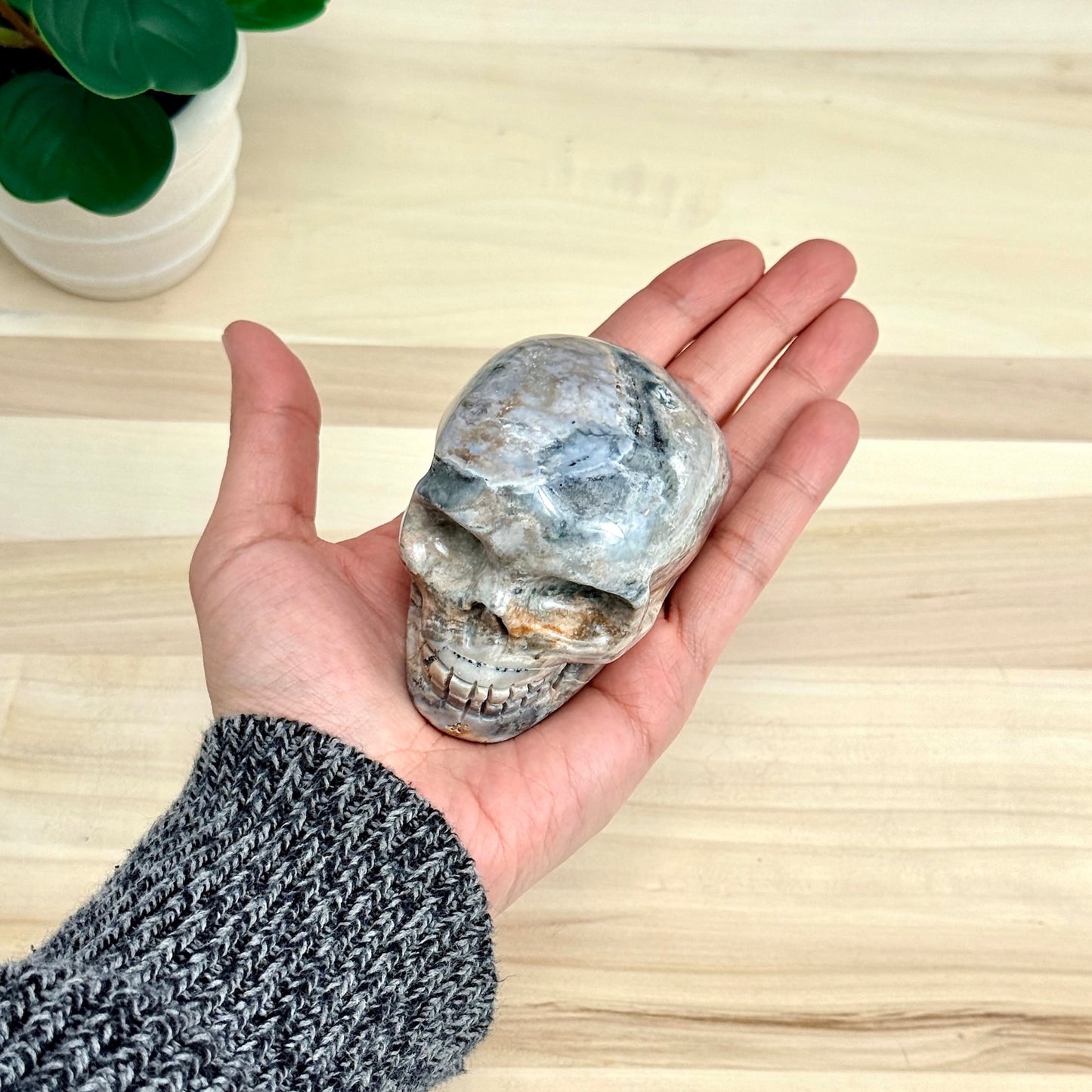 Sea Jasper Skull Carving, 3.34 in. - Itsy's Crystal Cove LLC