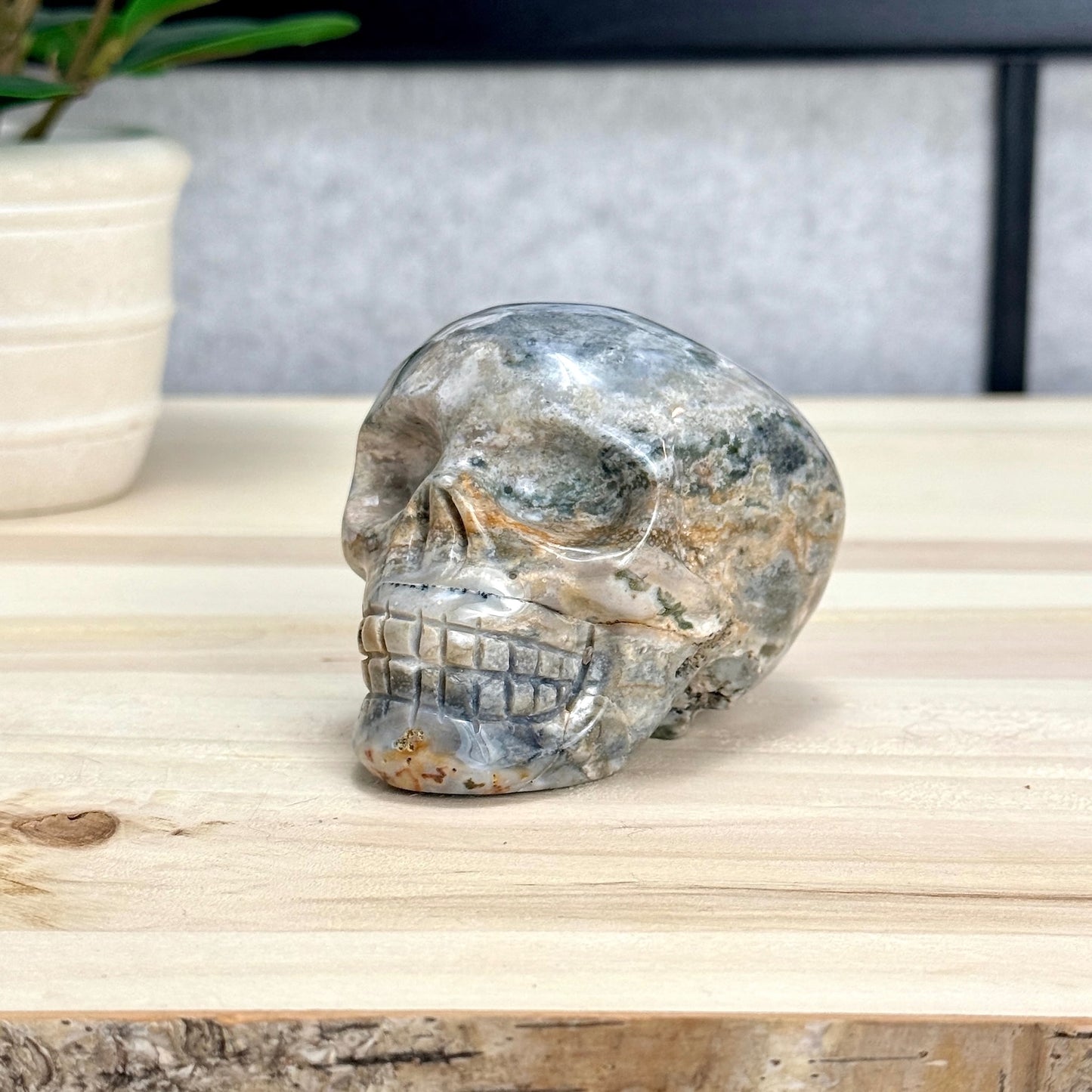 Sea Jasper Skull Carving, 3.34 in. - Itsy's Crystal Cove LLC