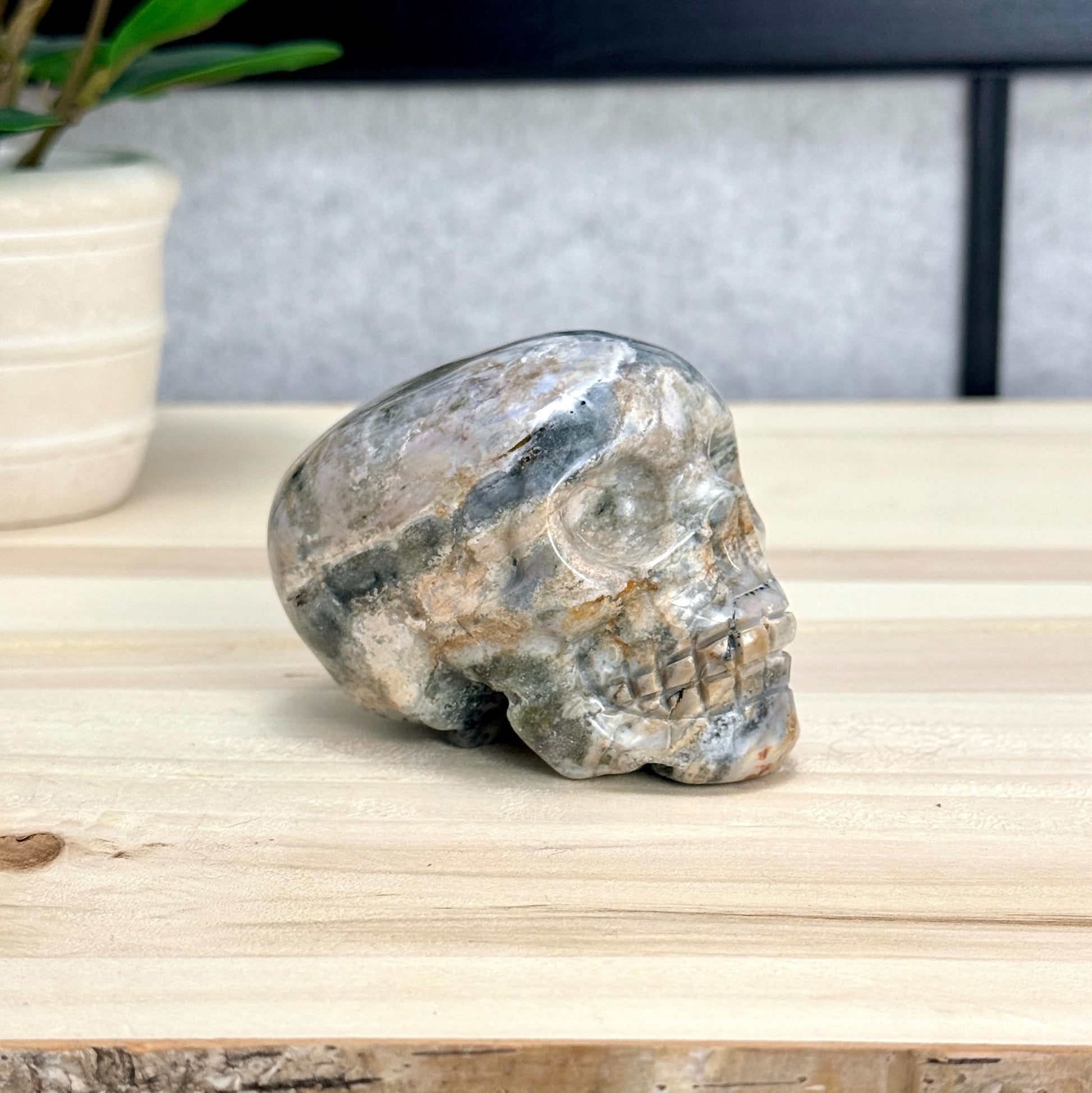 Sea Jasper Skull Carving, 3.34 in. - Itsy's Crystal Cove LLC