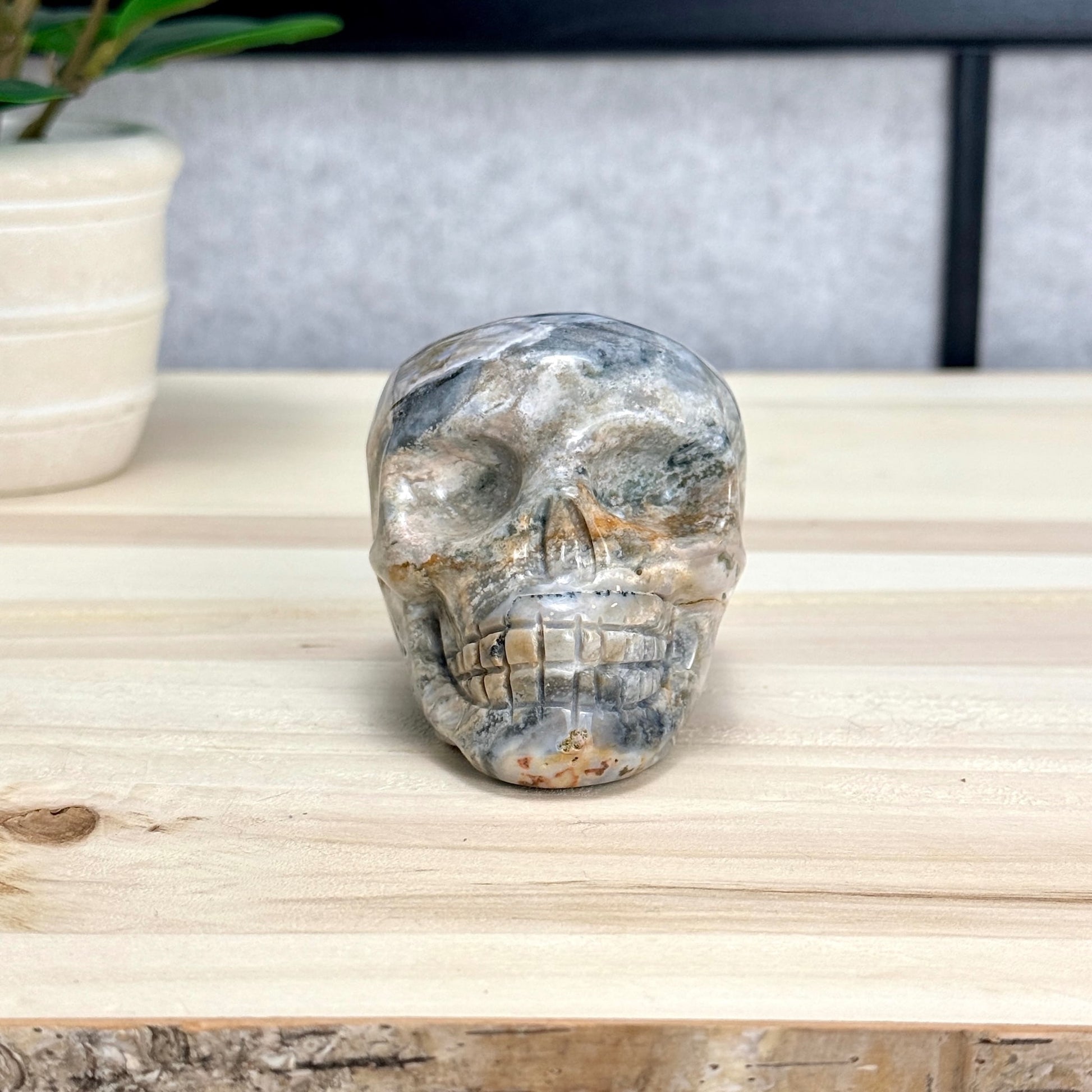 Sea Jasper Skull Carving, 3.34 in. - Itsy's Crystal Cove LLC