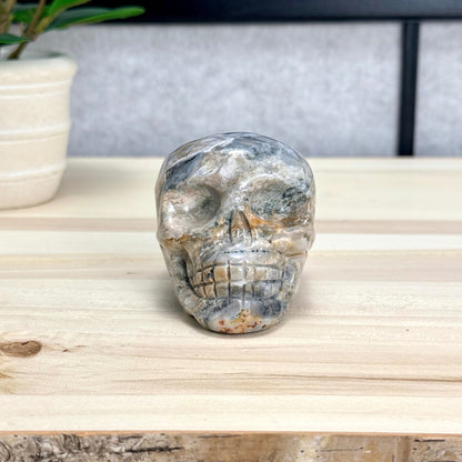 Sea Jasper Skull Carving, 3.34 in. - Itsy's Crystal Cove LLC