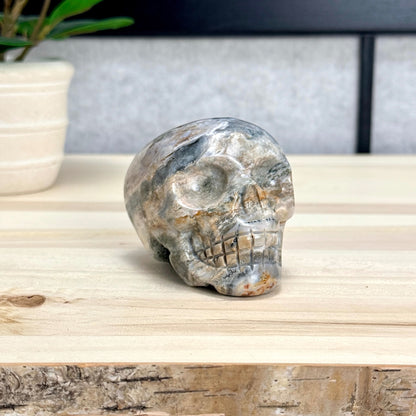 Sea Jasper Skull Carving, 3.34 in. - Itsy's Crystal Cove LLC