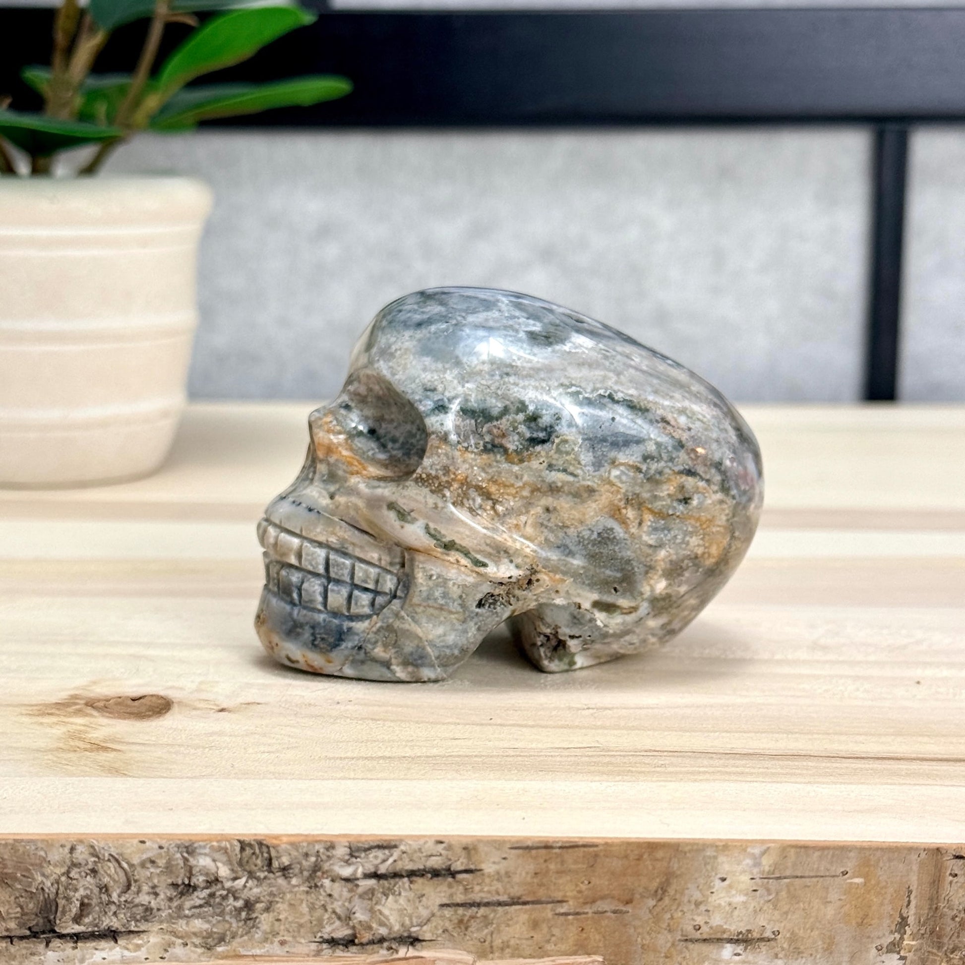 Sea Jasper Skull Carving, 3.34 in. - Itsy's Crystal Cove LLC