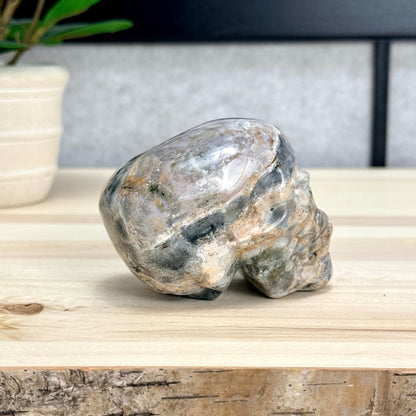 Sea Jasper Skull Carving, 3.34 in. - Itsy's Crystal Cove LLC