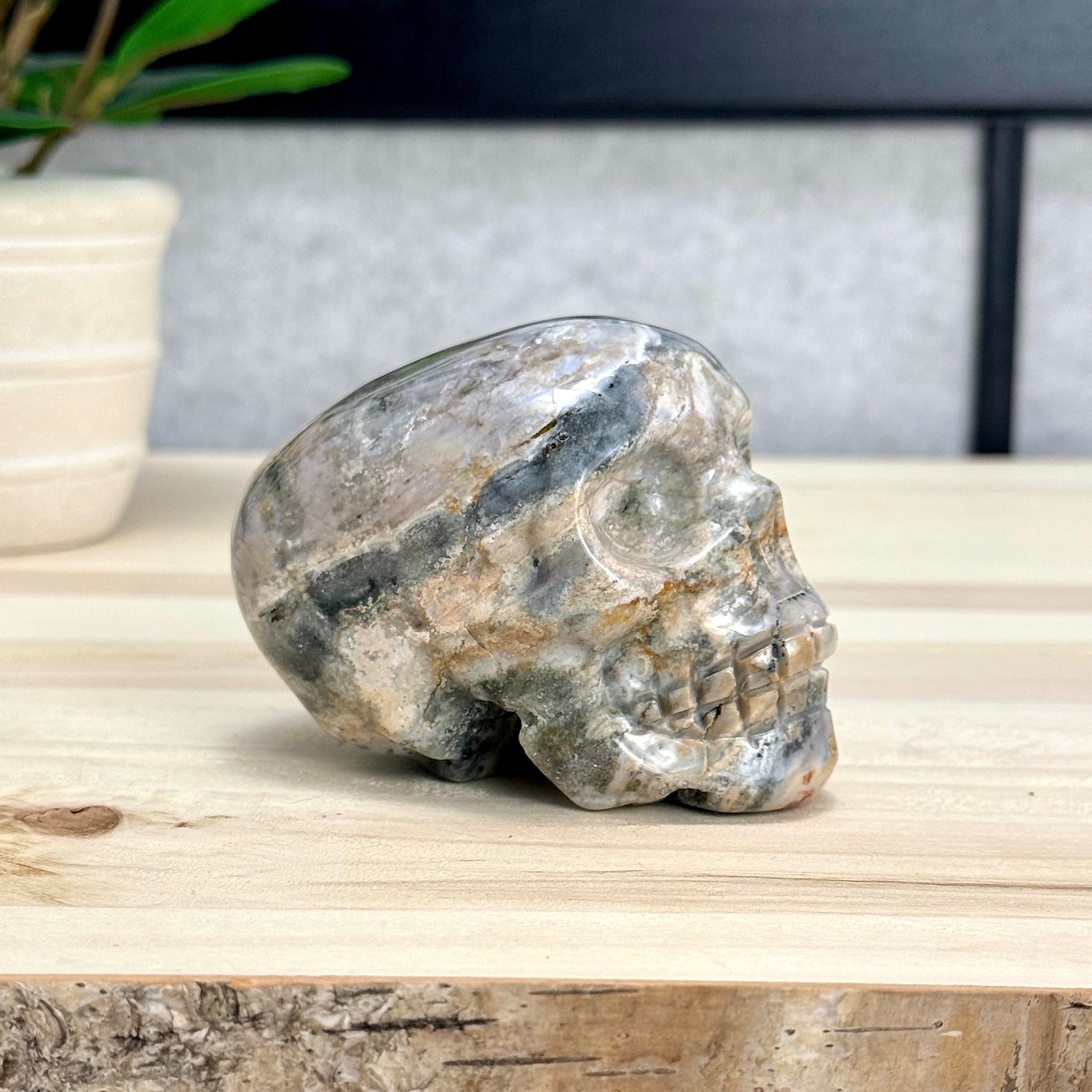 Sea Jasper Skull Carving, 3.34 in. - Itsy's Crystal Cove LLC