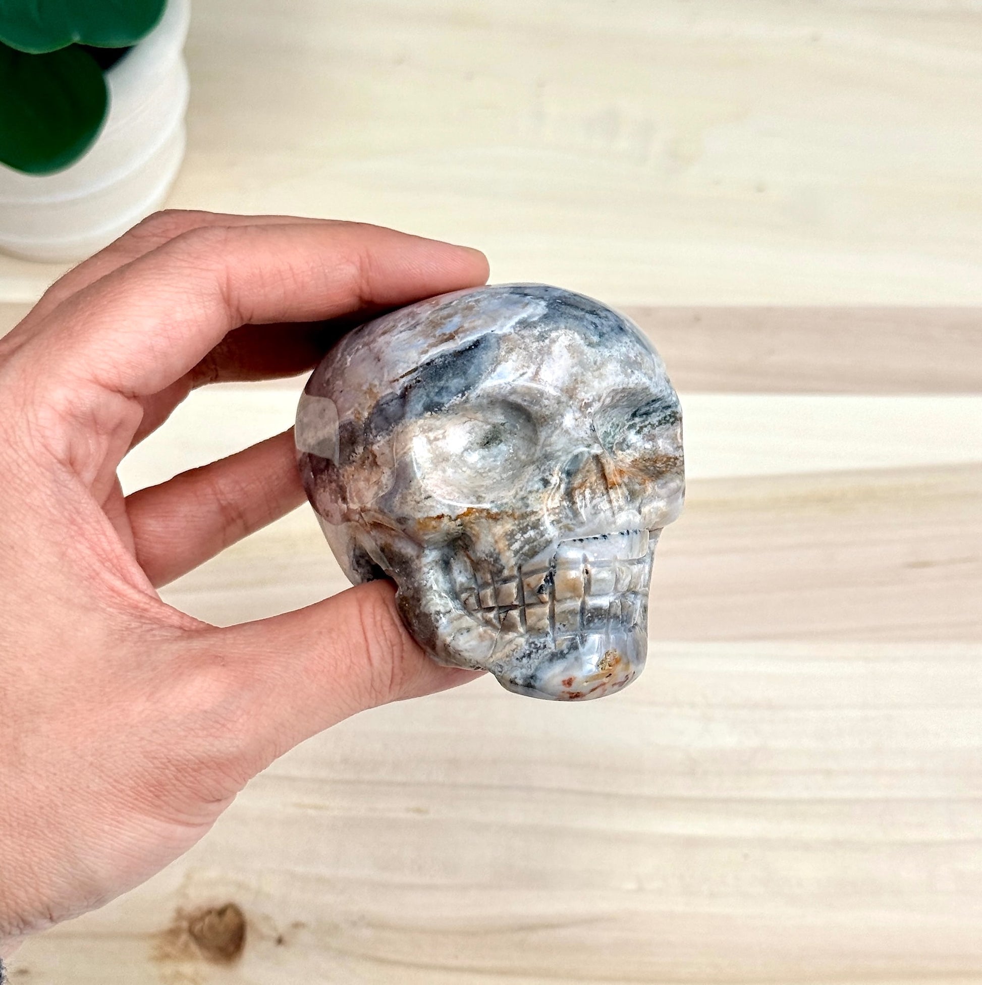 Sea Jasper Skull Carving, 3.34 in. - Itsy's Crystal Cove LLC
