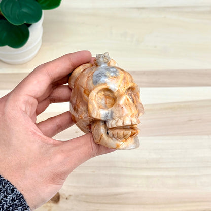 Crazy Lace Agate Skull with Snake Carving, 3.43 in. - Itsy's Crystal Cove LLC