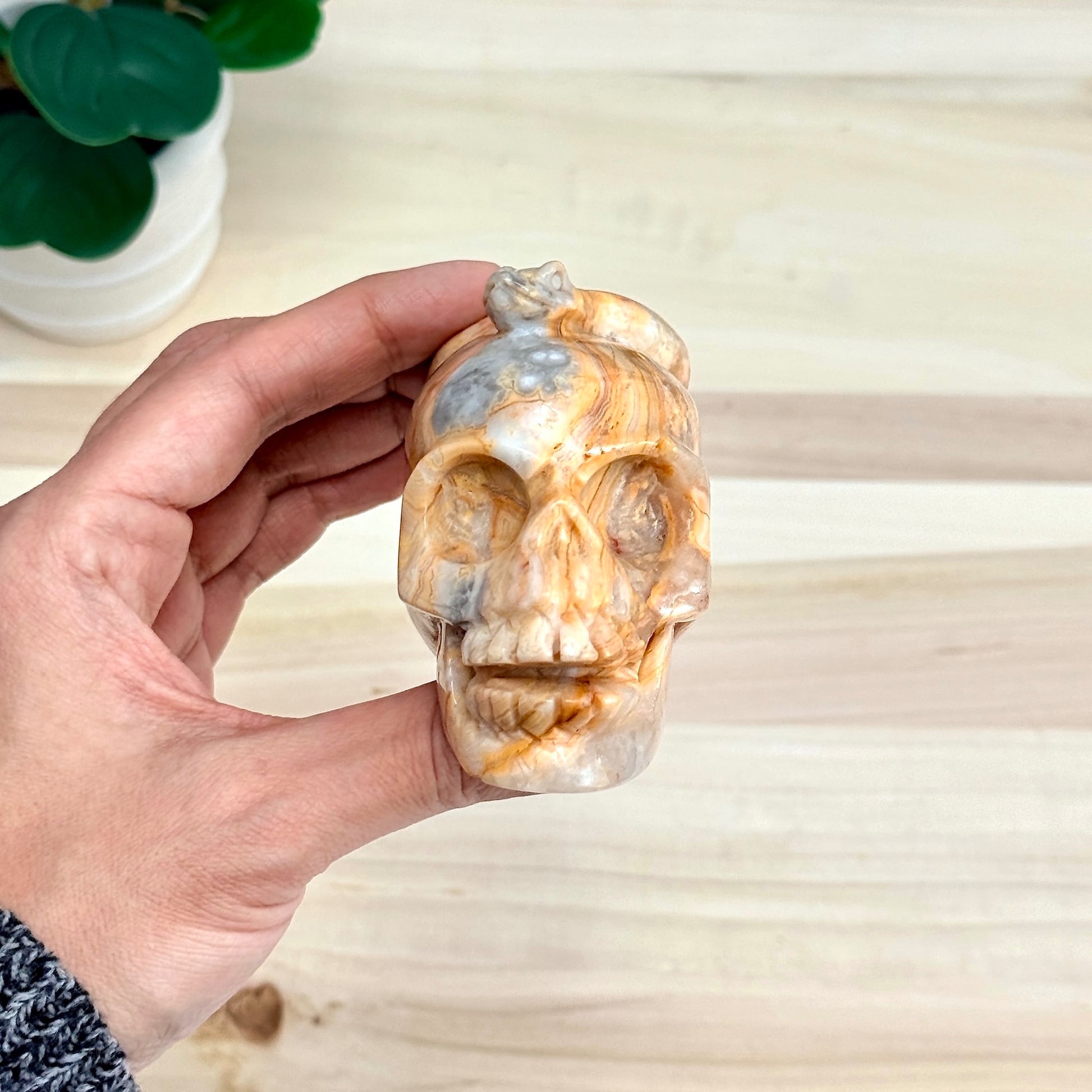 Crazy Lace Agate Skull with Snake Carving, 3.43 in. - Itsy's Crystal Cove LLC