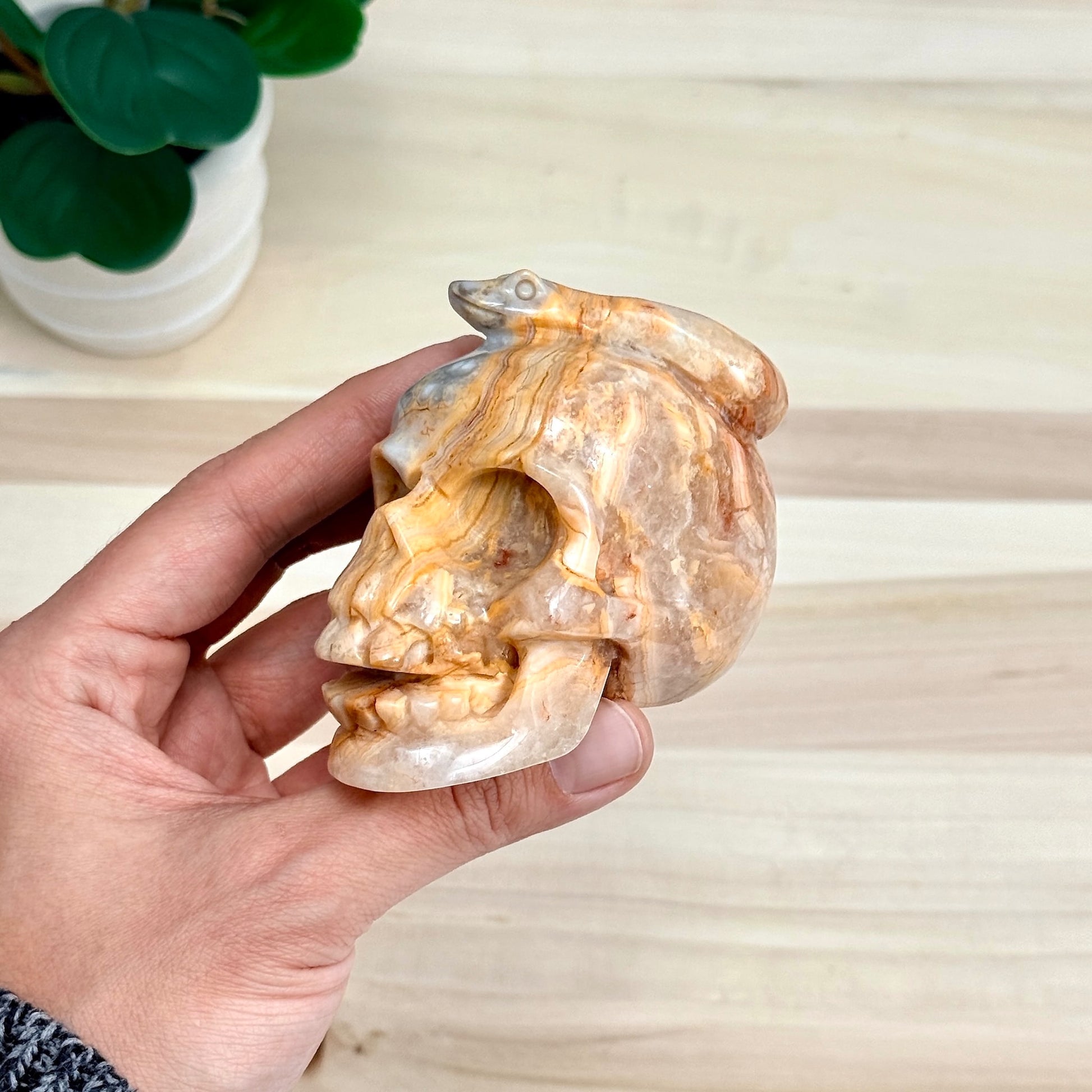 Crazy Lace Agate Skull with Snake Carving, 3.43 in. - Itsy's Crystal Cove LLC