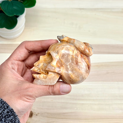 Crazy Lace Agate Skull with Snake Carving, 3.43 in. - Itsy's Crystal Cove LLC