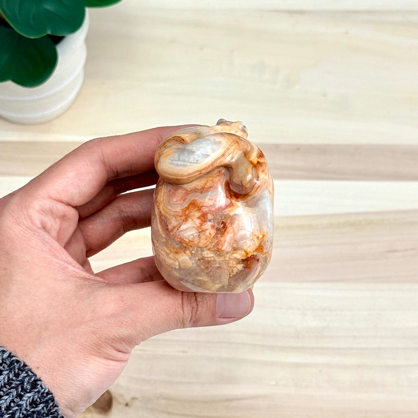 Crazy Lace Agate Skull with Snake Carving, 3.43 in. - Itsy's Crystal Cove LLC