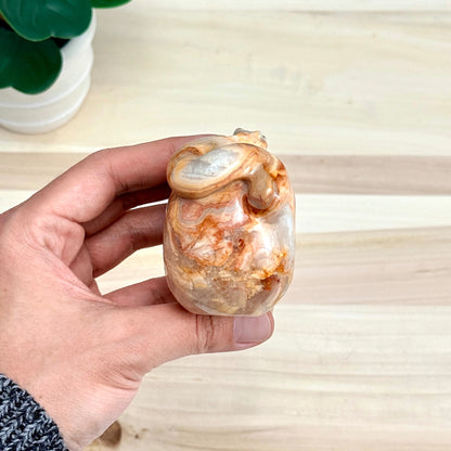 Crazy Lace Agate Skull with Snake Carving, 3.43 in. - Itsy's Crystal Cove LLC