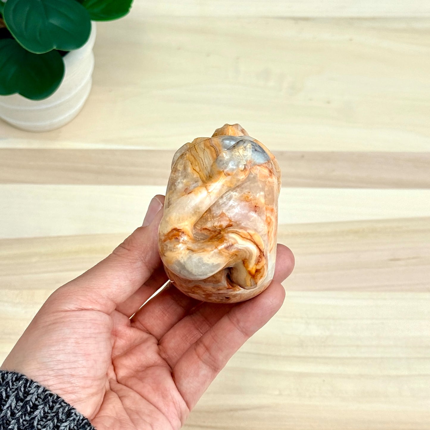 Crazy Lace Agate Skull with Snake Carving, 3.43 in. - Itsy's Crystal Cove LLC