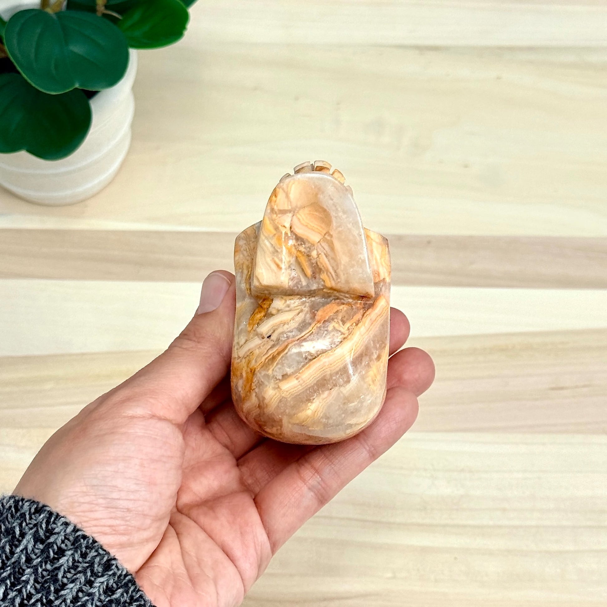 Crazy Lace Agate Skull with Snake Carving, 3.43 in. - Itsy's Crystal Cove LLC