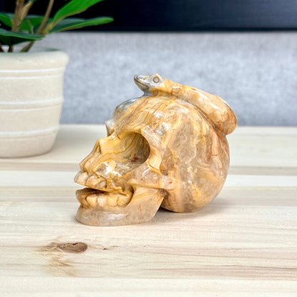 Crazy Lace Agate Skull with Snake Carving, 3.43 in. - Itsy's Crystal Cove LLC