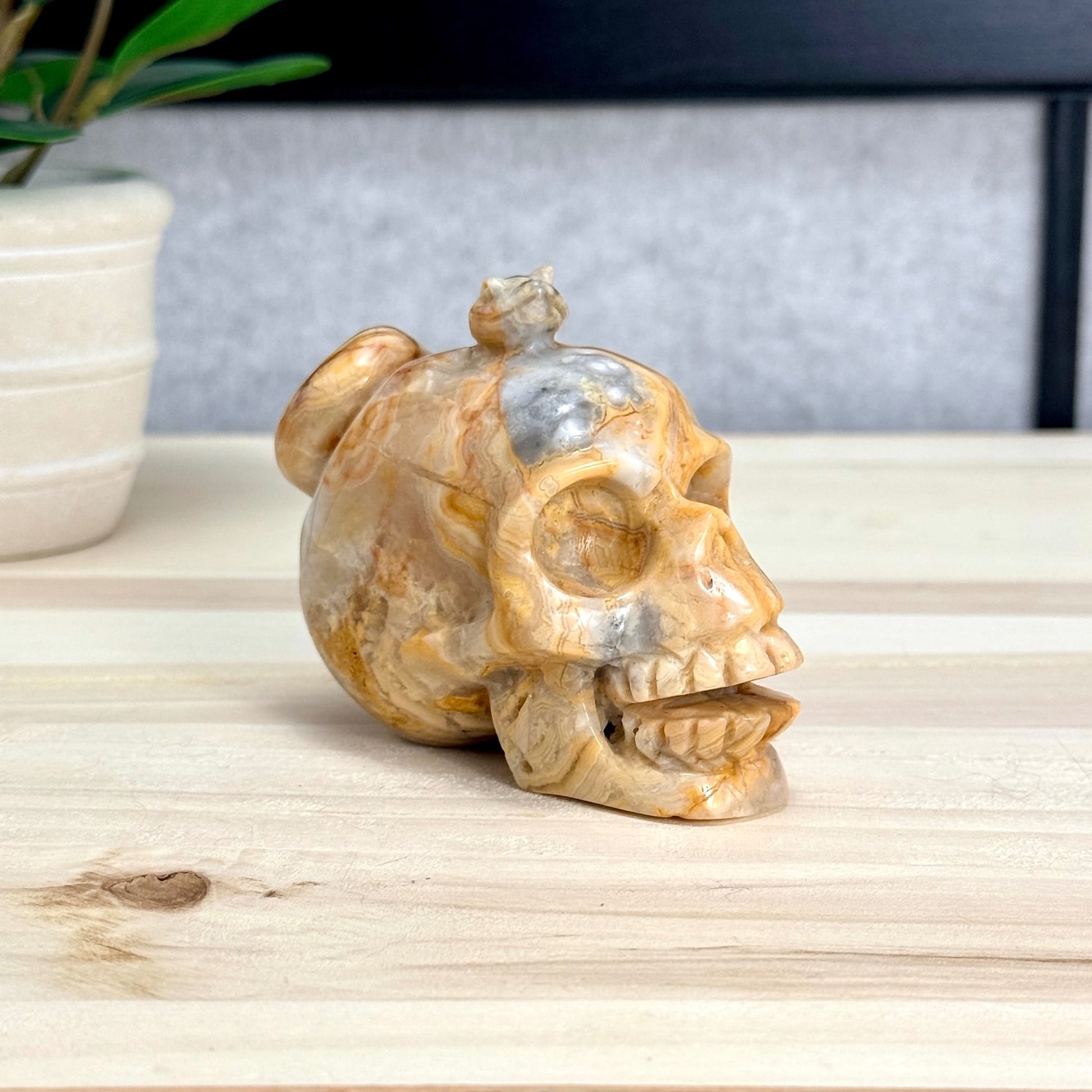 Crazy Lace Agate Skull with Snake Carving, 3.43 in. - Itsy's Crystal Cove LLC