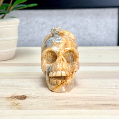 Crazy Lace Agate Skull with Snake Carving, 3.43 in. - Itsy's Crystal Cove LLC
