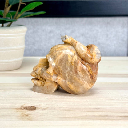 Crazy Lace Agate Skull with Snake Carving, 3.43 in. - Itsy's Crystal Cove LLC