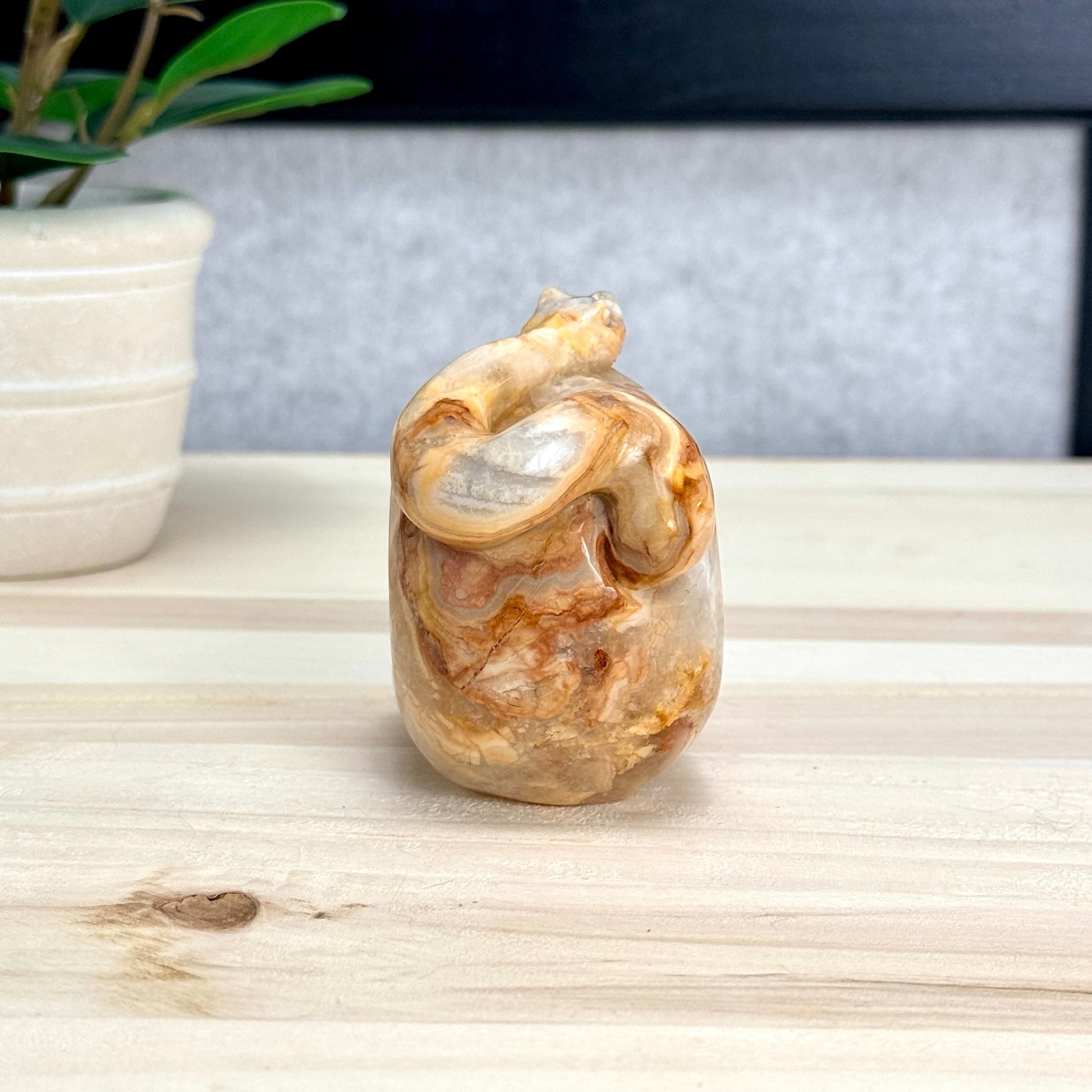 Crazy Lace Agate Skull with Snake Carving, 3.43 in. - Itsy's Crystal Cove LLC