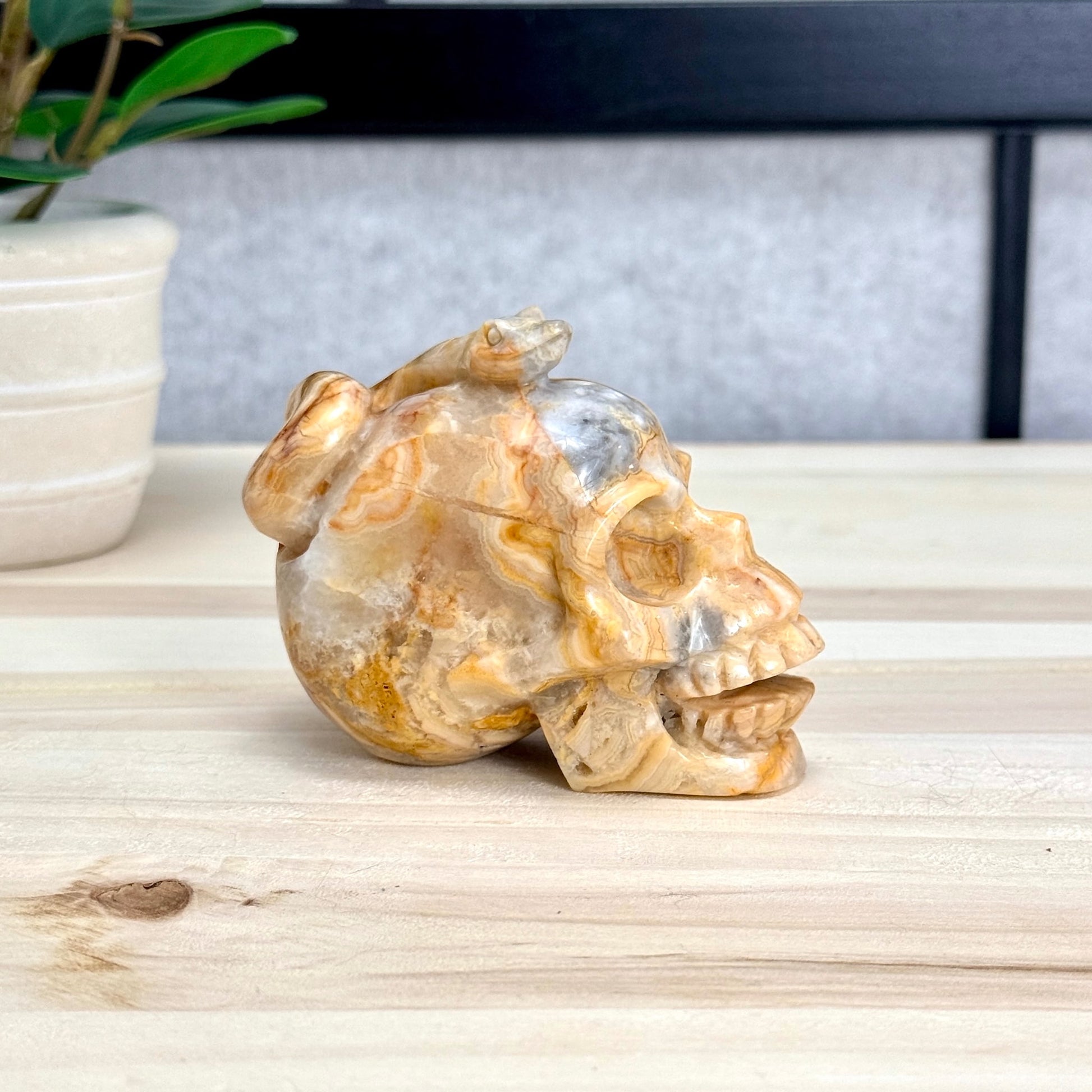 Crazy Lace Agate Skull with Snake Carving, 3.43 in. - Itsy's Crystal Cove LLC