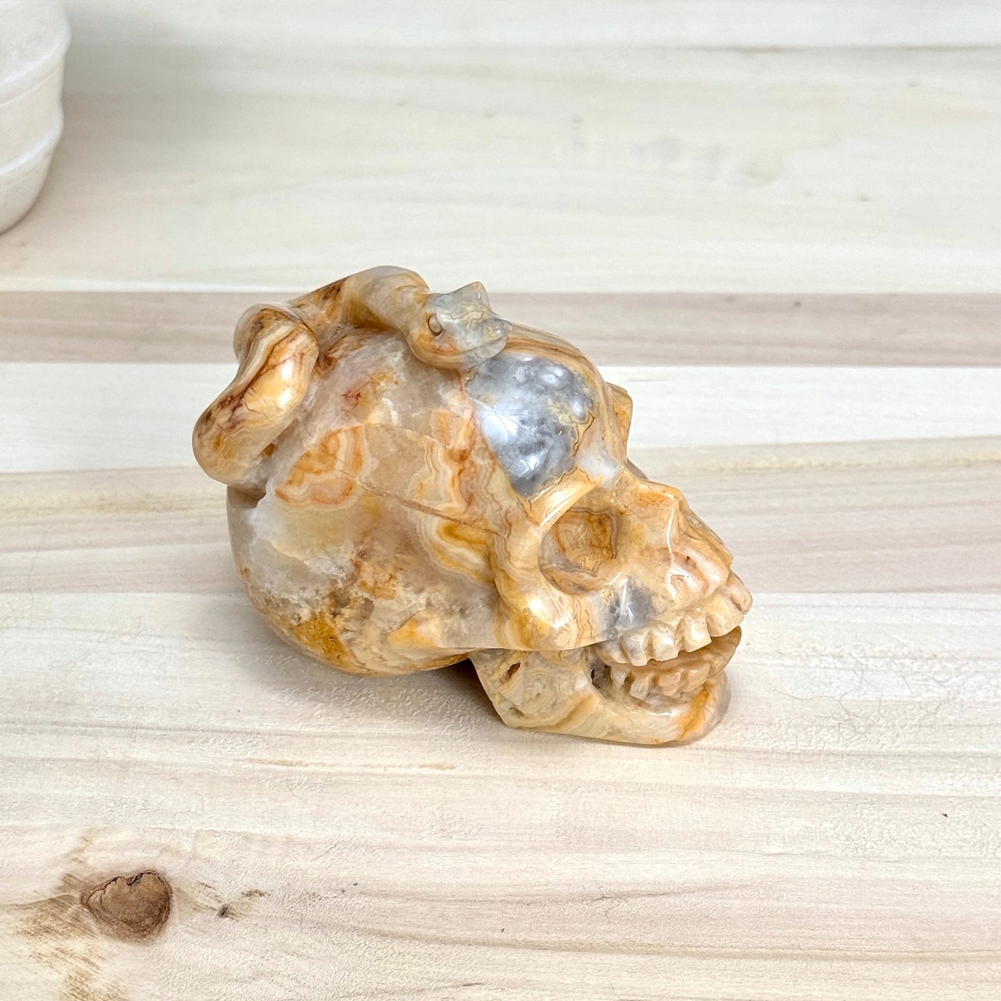 Crazy Lace Agate Skull with Snake Carving, 3.43 in. - Itsy's Crystal Cove LLC