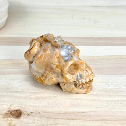 Crazy Lace Agate Skull with Snake Carving, 3.43 in. - Itsy's Crystal Cove LLC