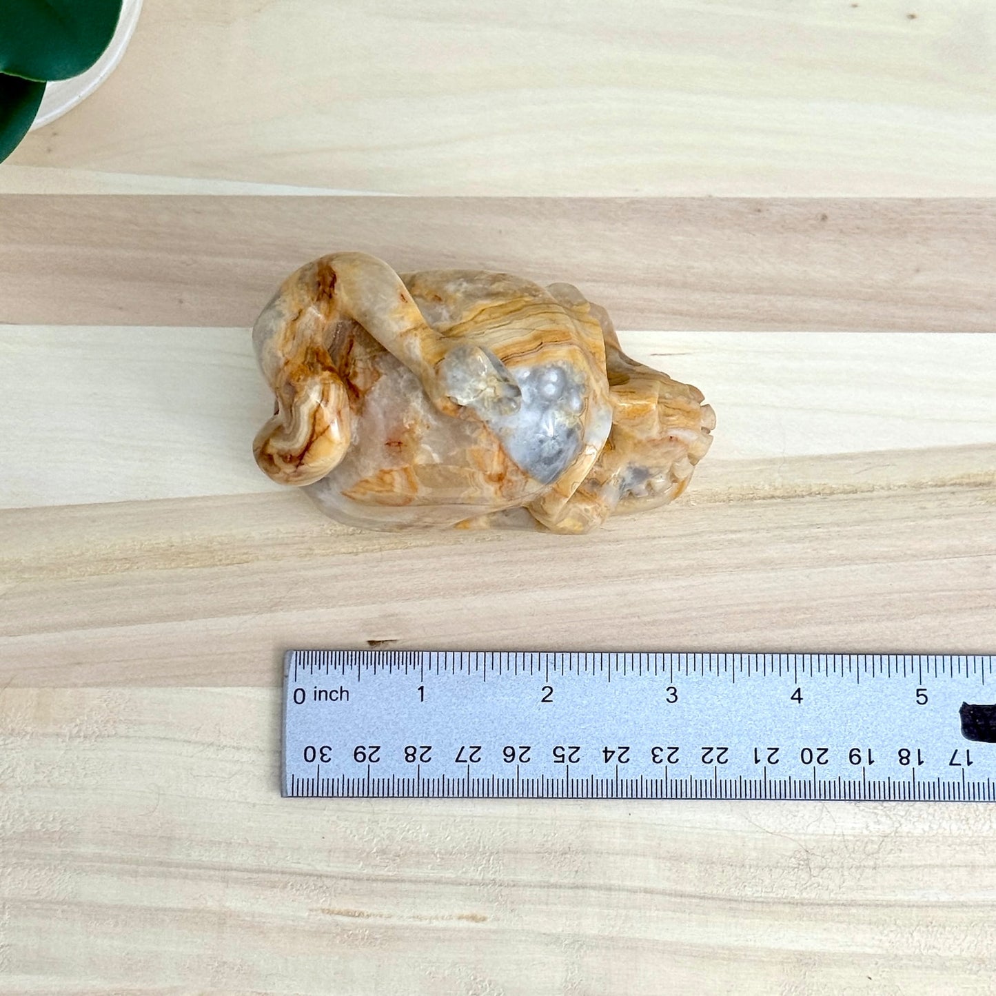 Crazy Lace Agate Skull with Snake Carving, 3.43 in. - Itsy's Crystal Cove LLC