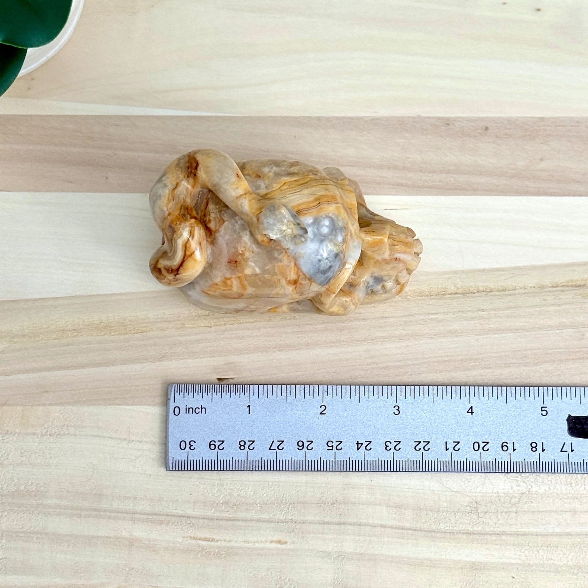 Crazy Lace Agate Skull with Snake Carving, 3.43 in. - Itsy's Crystal Cove LLC