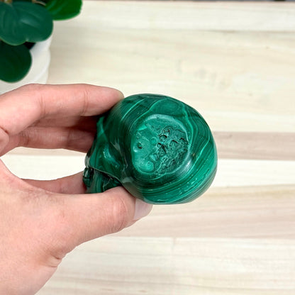 Malachite Skull Carving, 3.17 in. - Itsy's Crystal Cove LLC