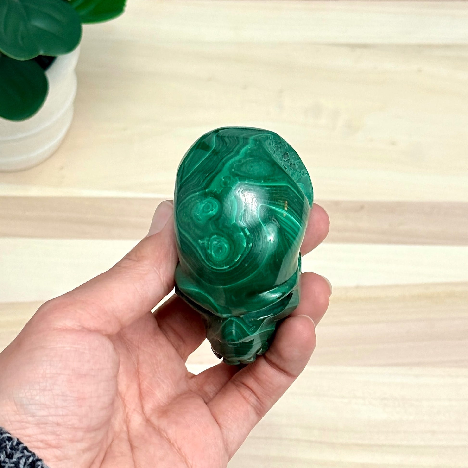 Malachite Skull Carving, 3.17 in. - Itsy's Crystal Cove LLC